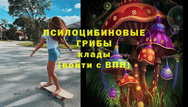 Галлюциногенные грибы MAGIC MUSHROOMS  Ак-Довурак 